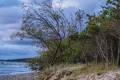 2021年总决赛：库里在第三节一人砍下21分，带领球队最关键的胜利！