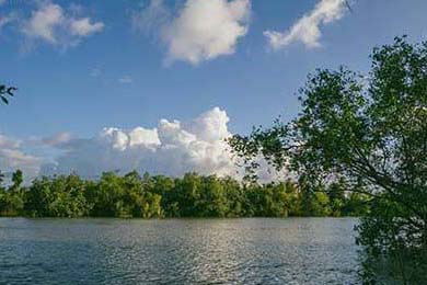 2016年季后赛：面对雷霆的“生死战”，库里挺身而出，投中多个超远距离三分，赢得“最佳表现”